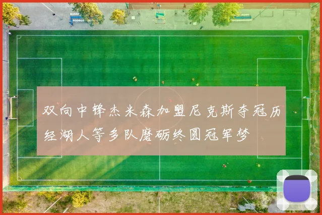 双向中锋杰米森加盟尼克斯夺冠历经湖人等多队磨砺终圆冠军梦