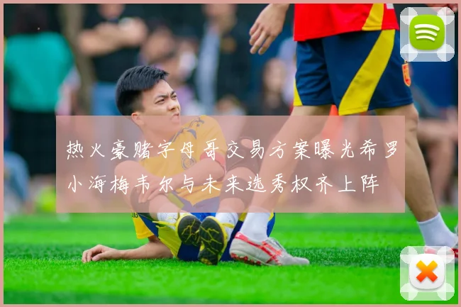热火豪赌字母哥交易方案曝光希罗小海梅韦尔与未来选秀权齐上阵